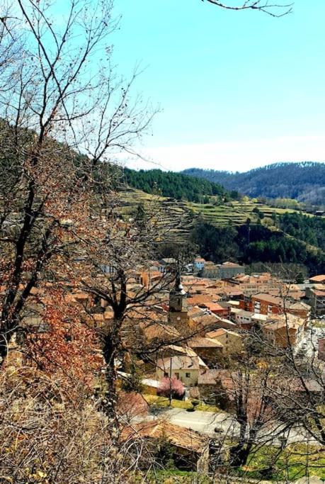 Pis Amb Encant A Campdevanol,Al Centre Del Poble. Dış mekan fotoğraf