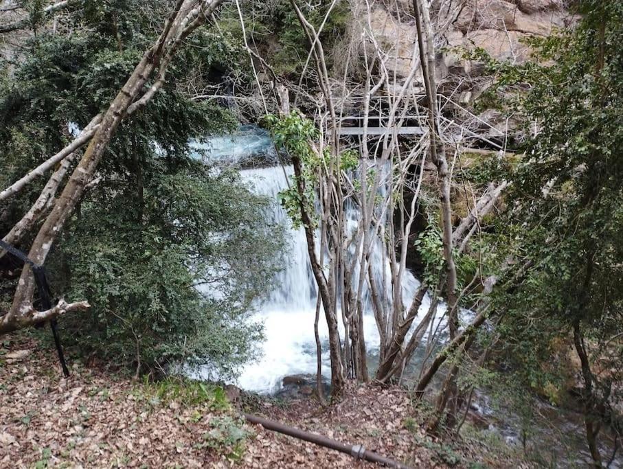 Pis Amb Encant A Campdevanol,Al Centre Del Poble. Dış mekan fotoğraf