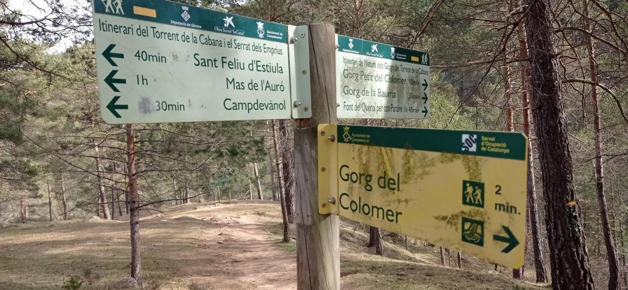 Pis Amb Encant A Campdevanol,Al Centre Del Poble. Dış mekan fotoğraf